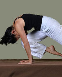Professeur Yoga YOGA HARMONY 