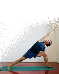 Professeur Yoga YOGA SHALA 