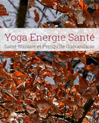 Professeur Yoga YOGA ENERGIE SANTE 