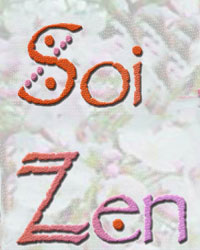 Professeur Yoga SOIZEN 
