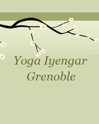 Professeur Yoga YOGA IYENGAR GRENOBLE 
