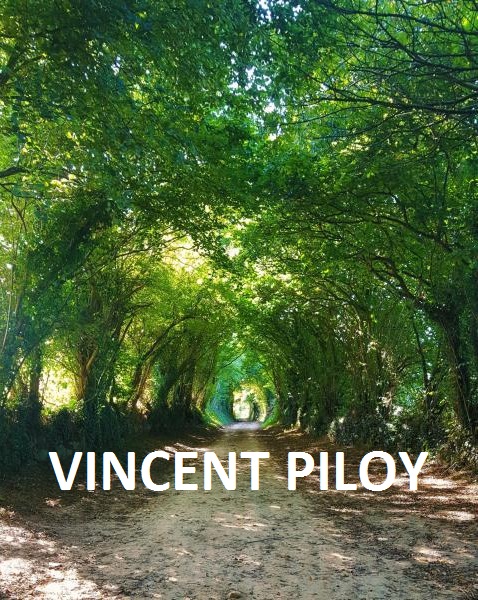 Professeur Yoga PILOY Vincent