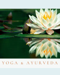 Professeur Yoga YOGA & AYURVéDA 